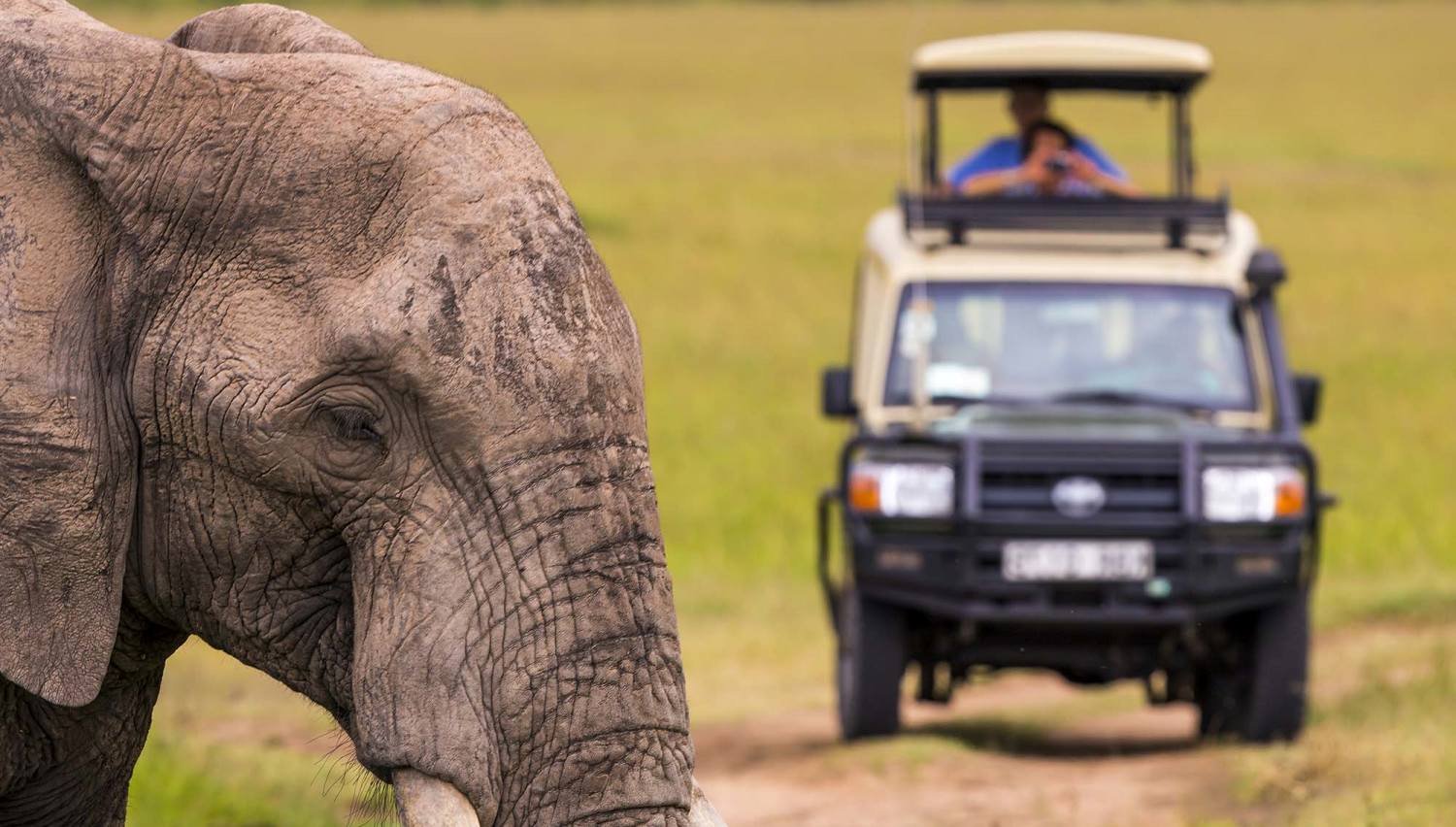 kenya safari tours