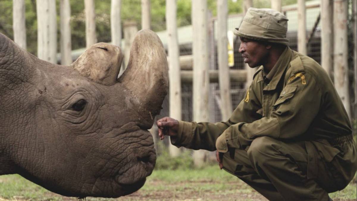 OL Pejeta about Kenya