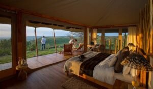  Luxury Safari