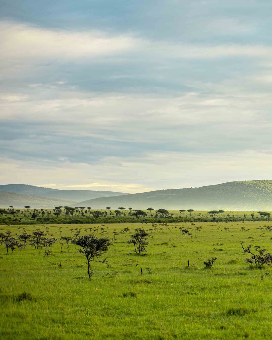 Tanzania Safaris packages